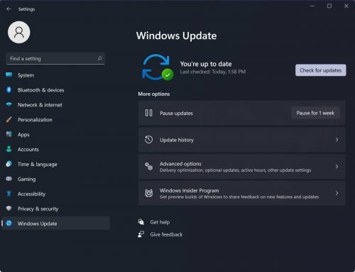 Windows-11-Windows-Update-setting-check-for-update